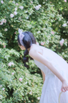 李彩桦个人资料